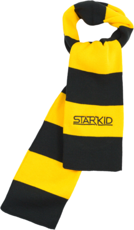 StarKid – Gold and Black Winter House Scarf